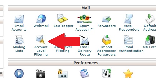 Open the Account Level Filtering page within cPanel.